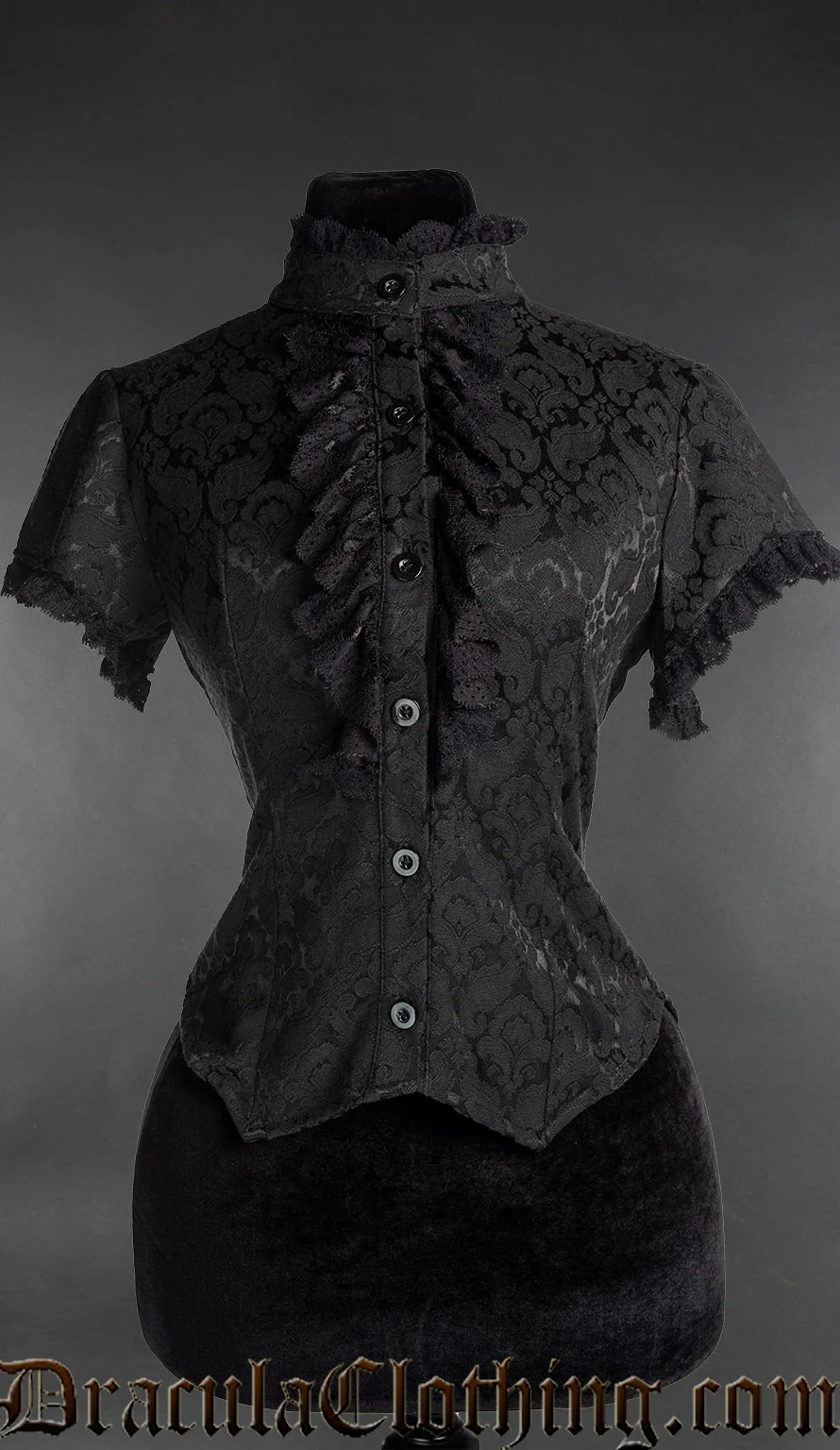 Brocade Short Sleeved Lace Blouse