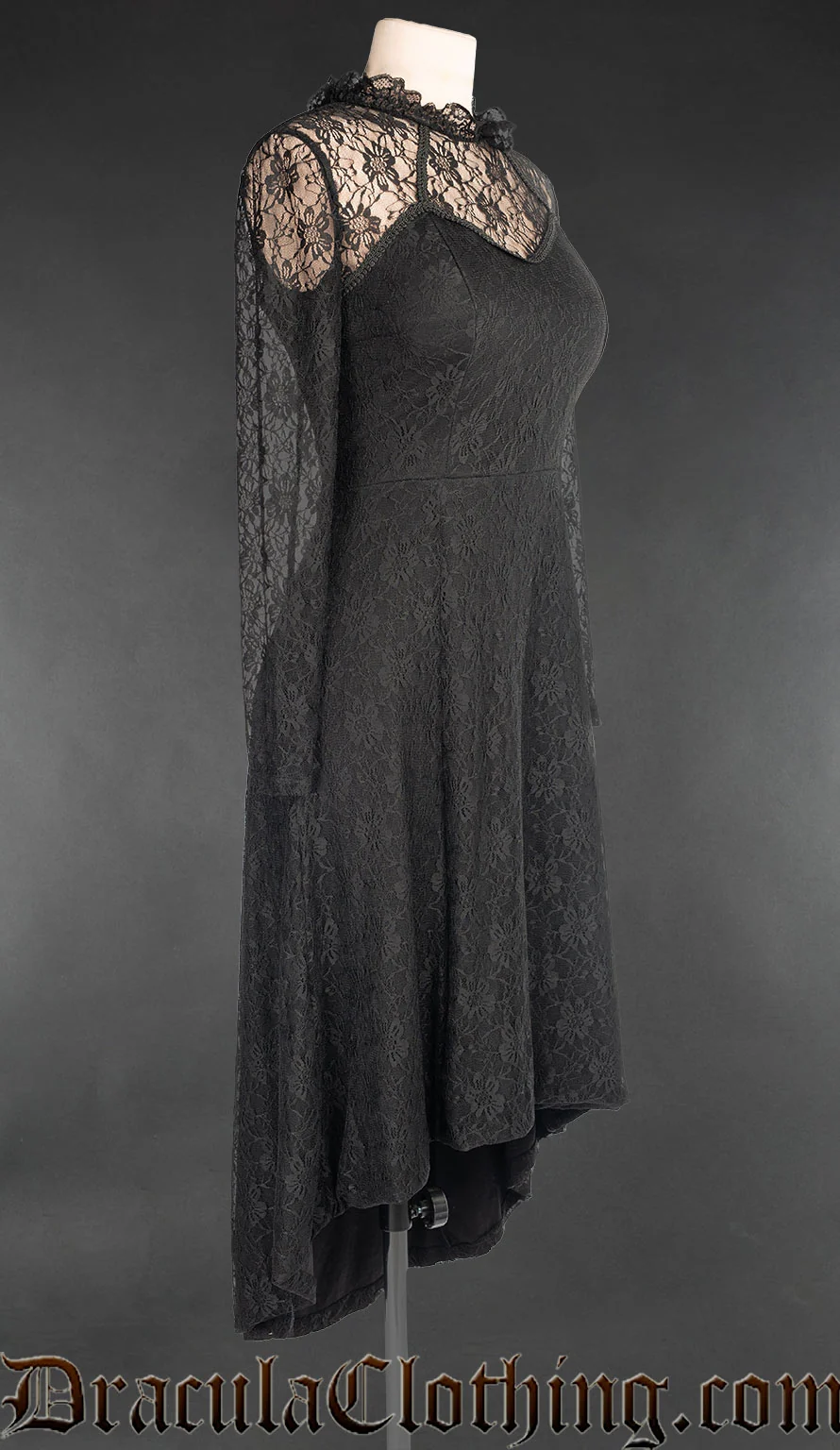 Lace Victorian Maxi Dress - Image 4