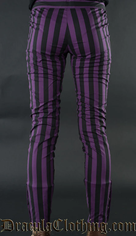 Purple Striped Five Button Pants - Image 2