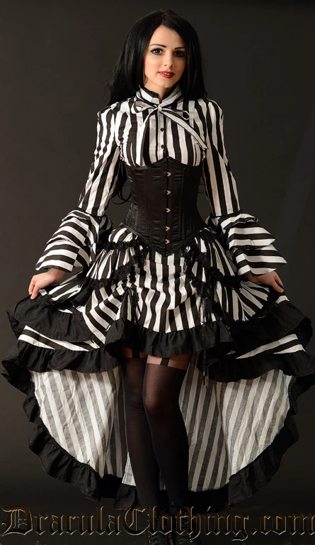 Striped Layer Bustle Skirt Old - Image 6
