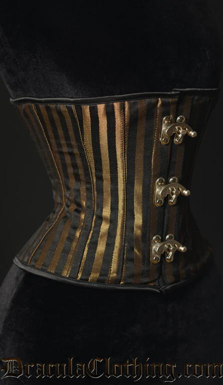 Striped Steampunk Clasp Corset - Image 2