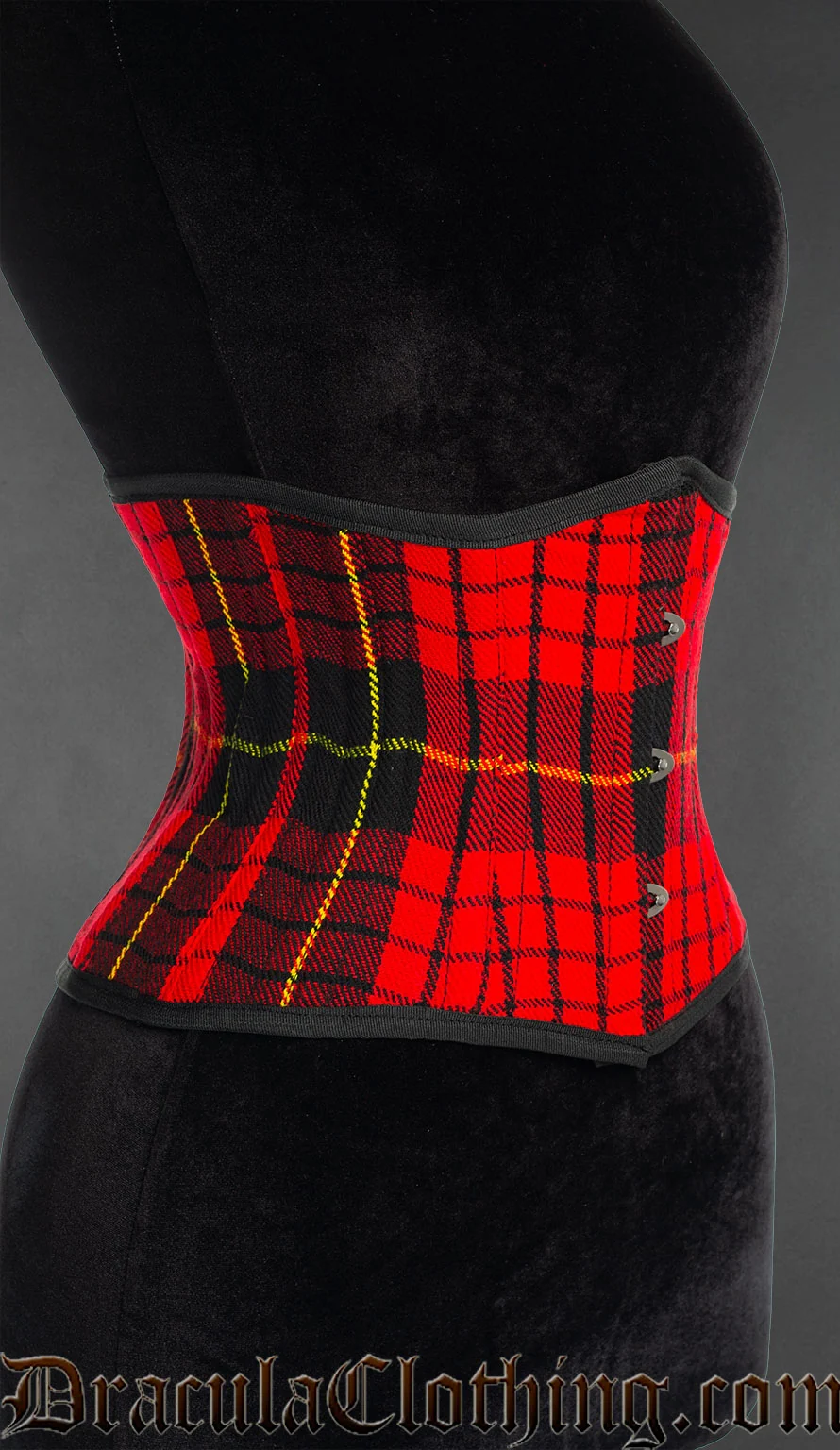 Tartan Double Boned Waist Cincher - Image 2
